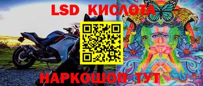 прущие крисы Балахна