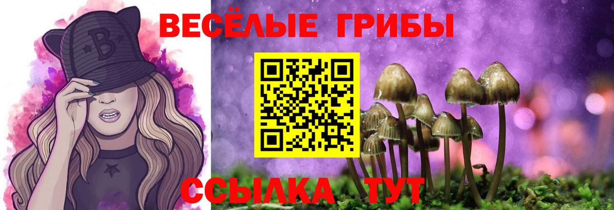 Галлюциногенные грибы Psilocybine cubensis  Вход с VPN  Гулькевичи 